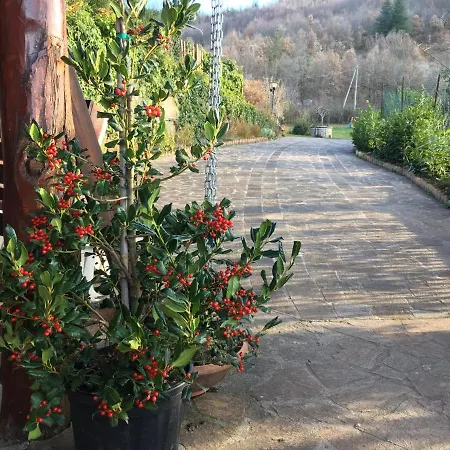 Feriehus Valvisio - Casa Di Campagna Pignola