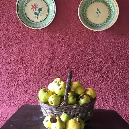 Valvisio - Casa Di Campagna Feriehus