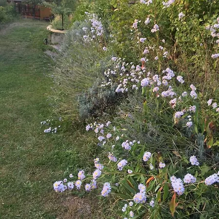 Valvisio - Casa Di Campagna Feriehus
